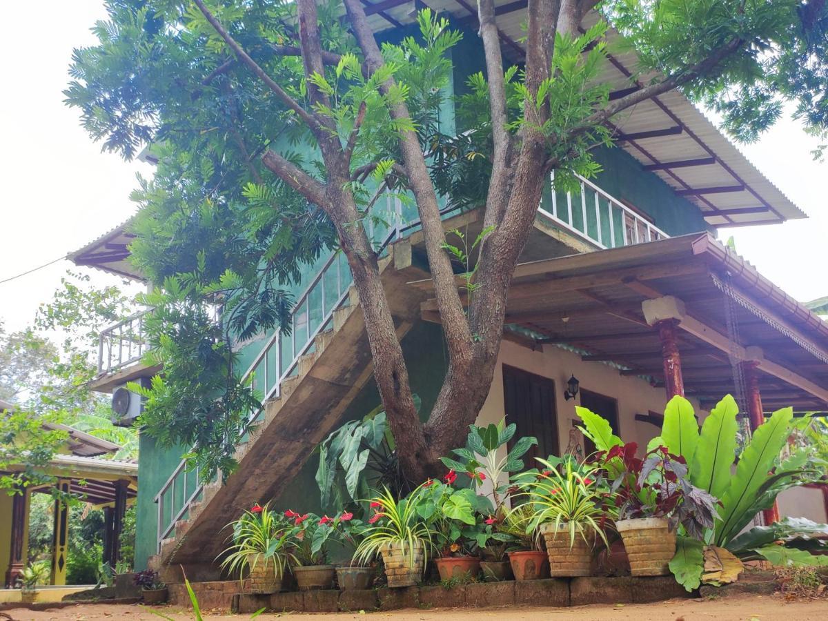 Hotel Jaana Guest Sigiriya Exterior foto